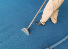 Best Carpet Cleaner Solution in 2026